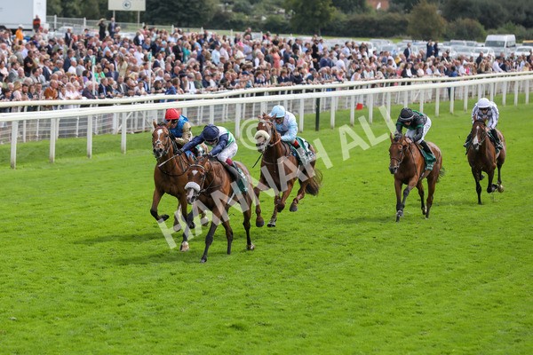250823-Race 2-Coltrane-5809 - Race 2 2.25pm Weatherbys Hamilton Lonsdale Cup Stakes