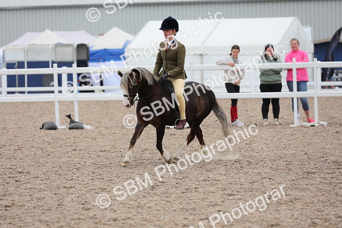 SBM_18119 - Class 316 Best Pony/Rider Combination