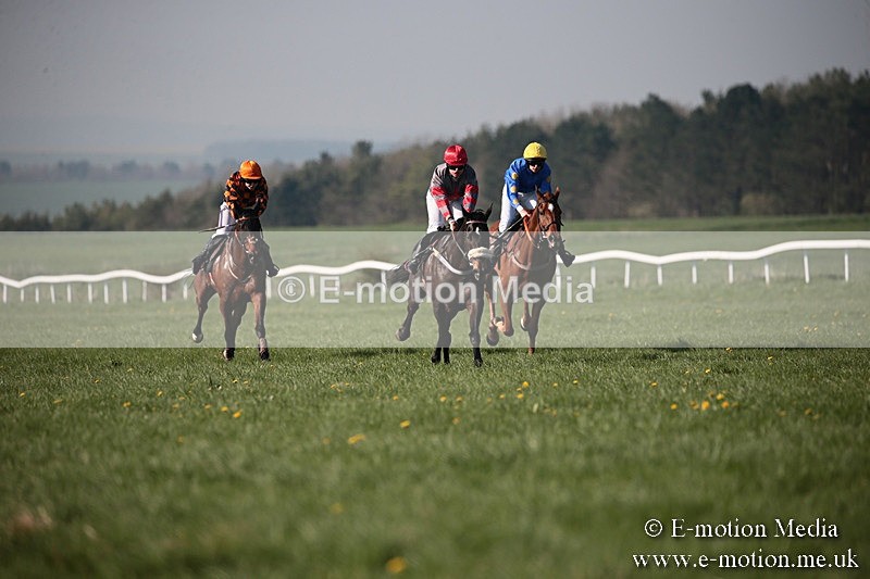 PtP 210418 517 - South & West Wilts Point-to-Point Larkhill 21/04/18