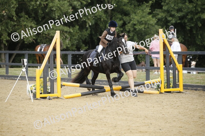 20250622-1334 - 40cm