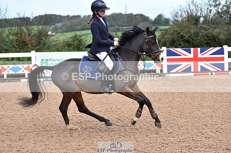 231029A-103312-02323 - 70cm Pony Intro