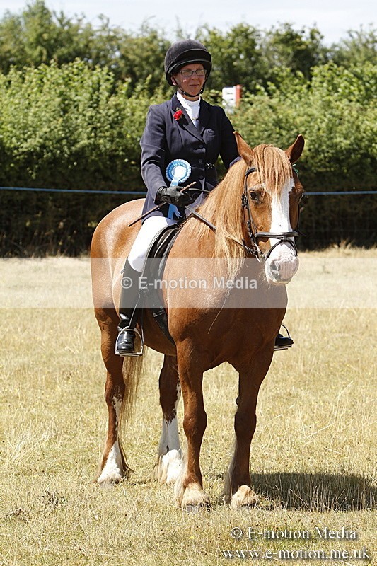 _BS_0880 - BVRC Show 2018 Ring 1