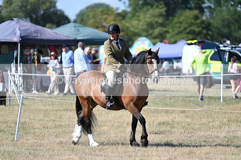 WJ7_3578 - Class 9 Mountain & Moorland Ridden