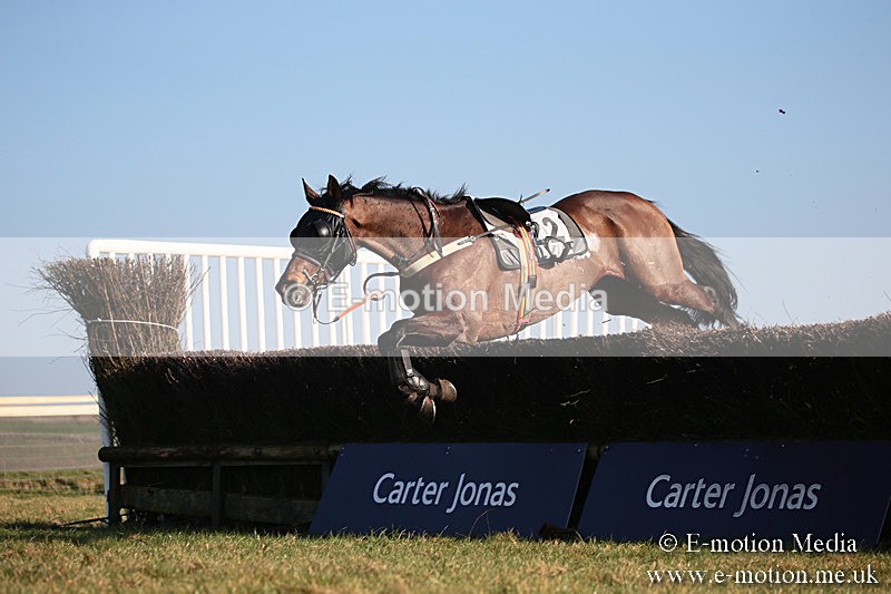 PtP 230219 454 - Vine & Craven Point-To-Point - Barbury 23/02/19