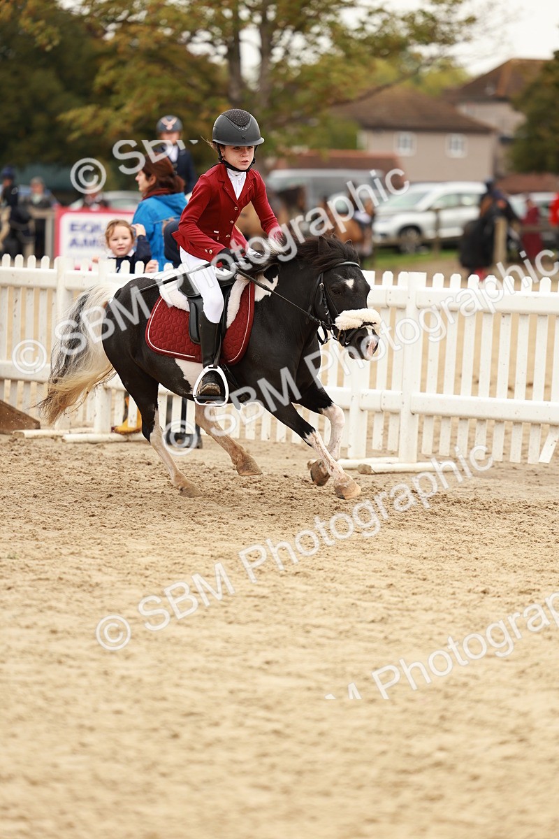 SBM_57934 - J11 - Junior Pony 50cm Championship