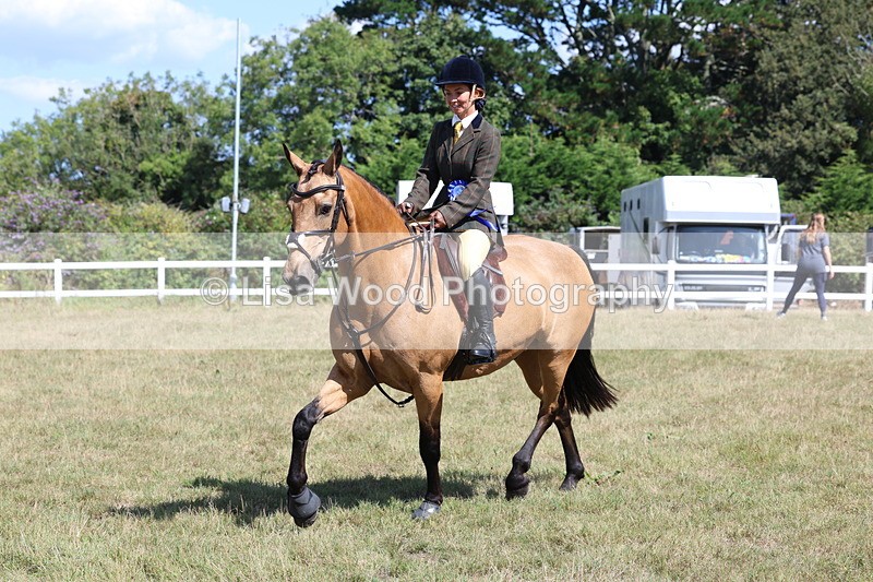 3E7A6392 - Working Hunter Championship