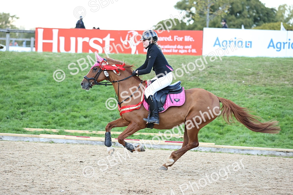 SBM_54437 - Supreme Championship 70cm 75cm