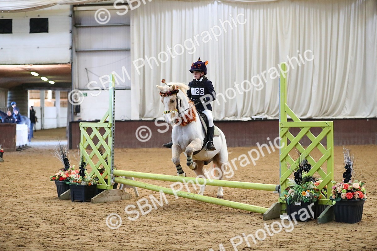 SBM_000137 - Class 1 - Show Jumping 50cm
