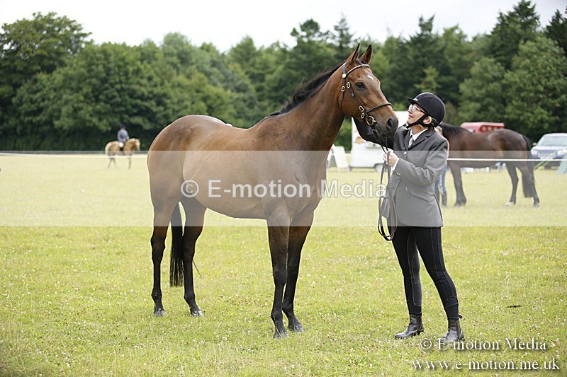 BVR160717-52 - Ring 1 BVRC Show 16/07/17