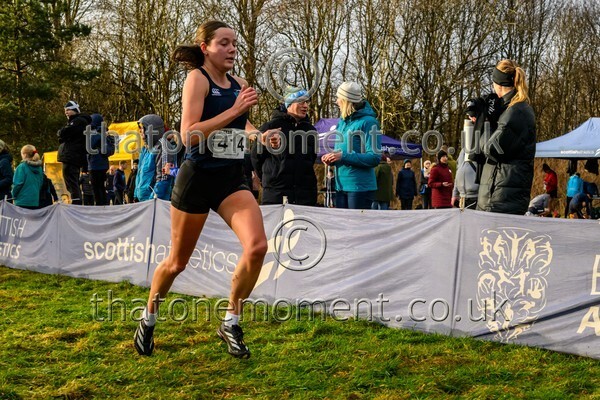 InterXC26-817141 - Senior women Set Two