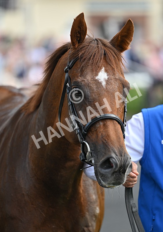 220826-121 Notable Speech - Race 3 15.00pm Sky Bet City Of York Stakes