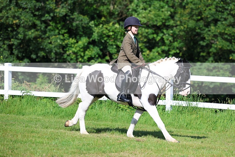 3E7A5983 - Class 27: Novice Working Hunter Pony