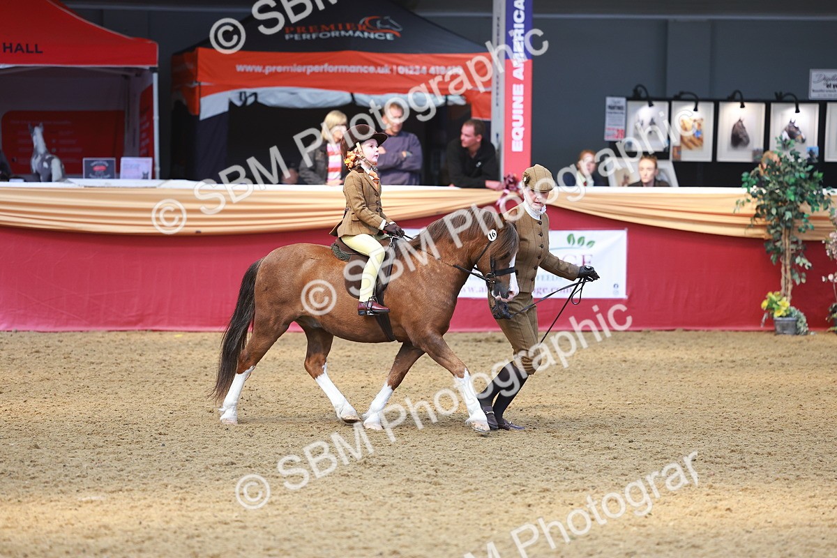 SBM_12608 - Class 103 - HOYS Veteran Qualifier - Ridden Pre Vet