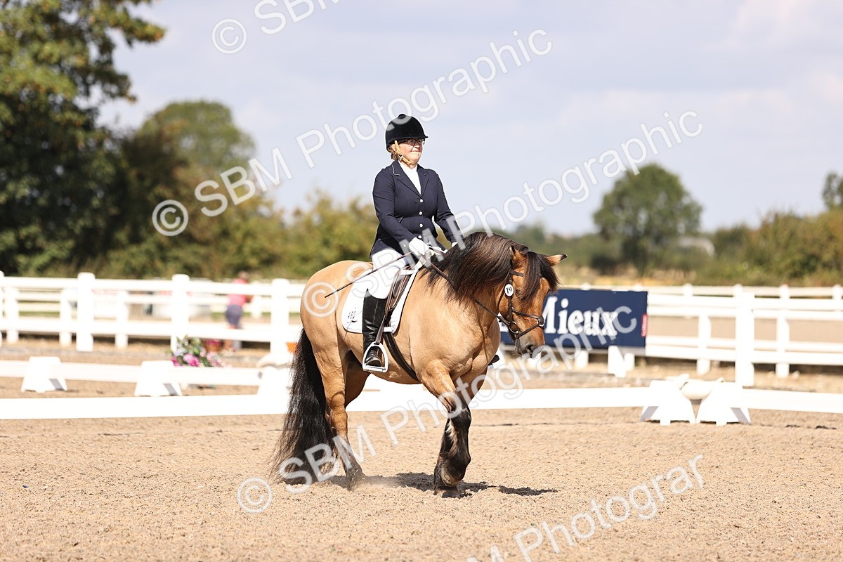 SBM_03603 - CLass 35 Intro 3