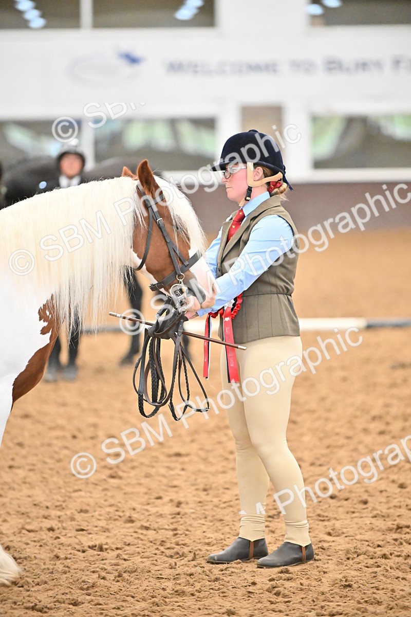 SBM_000783 - Class 16 - In Hand Showing Supreme Championships