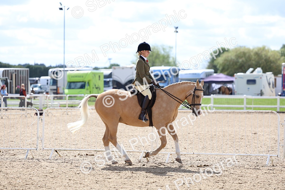 SBM_13278 - Class 311 - Ridden Show Pony Show Hunter Pony