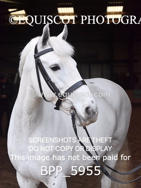 BPP_5955 - Erin Hancock ×2