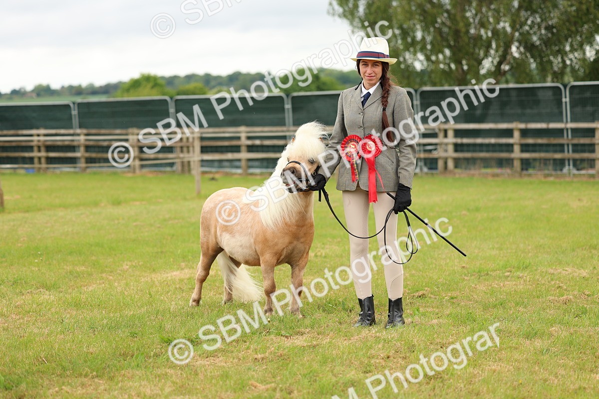 SBM_03533 - Class 58-67 - M&M Non Welsh Pony In hand