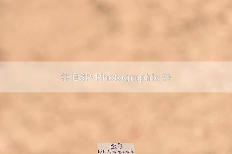 230811A-130918-05087 - Cls 21 Snr 1.20m Open