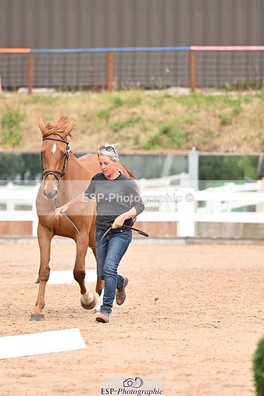 250716-154132-02119 - Trot Up 3.30 to 4.30