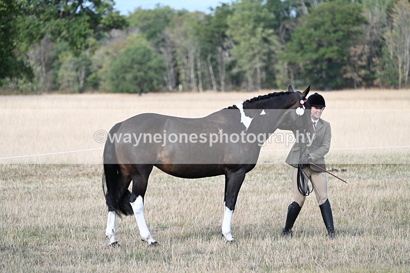WJ7_8274 - In-hand Championship