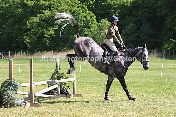 IMG_4600 - Working Hunter