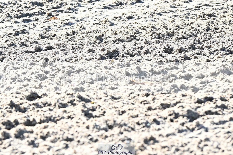 231110-111647-00382 - Cls 2 Prelim 17(a)Q