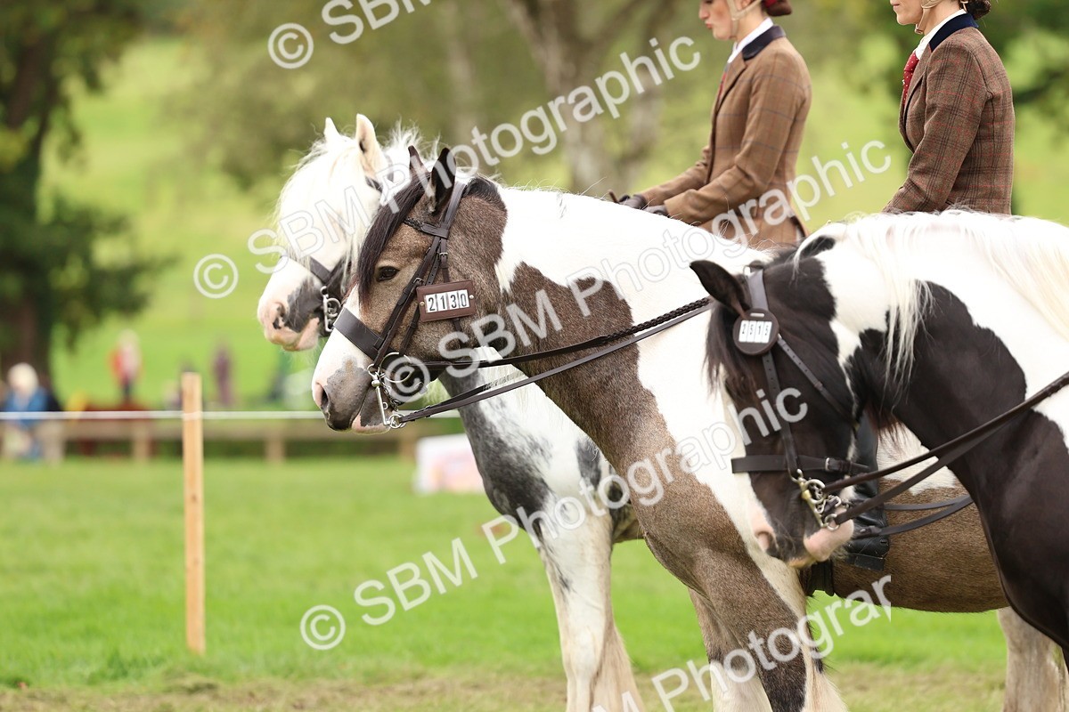 SBM_64520 - S58 - Coloured Pony Ridden