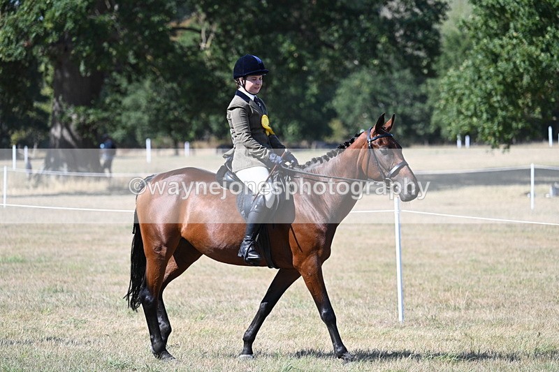 WJ7_1416 - Class 41 Prettiest Mare