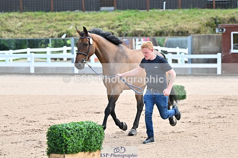 240718A-105237-00928 - Trot Up 11am to 12pm