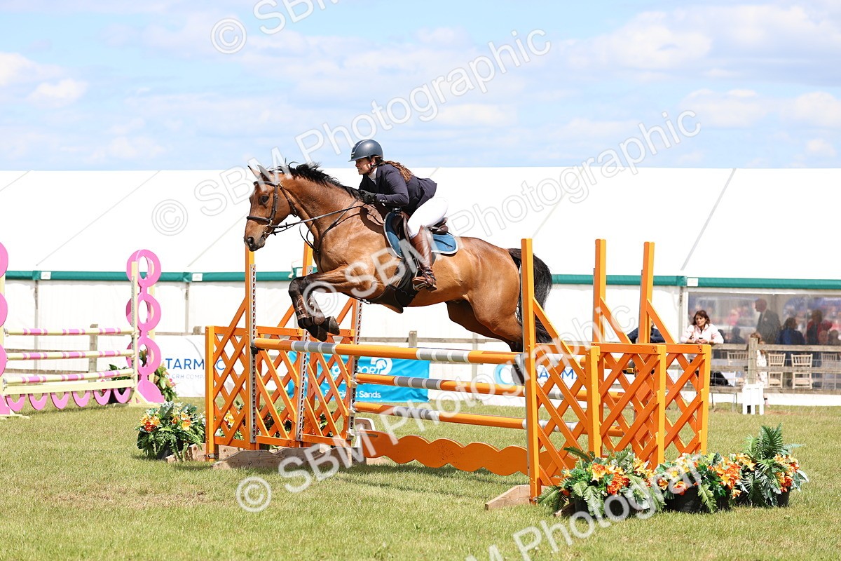 SBM_15540 - Class 207 - Senior 1.15m Open