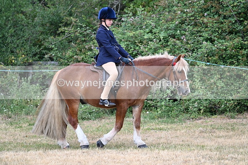 WJ7_0269 - Class 2 Best rider