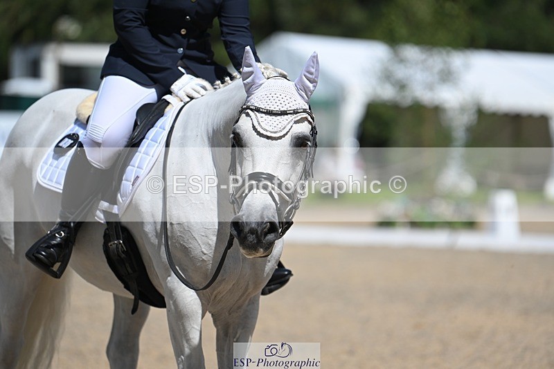 230811-140027-01685 - Cls 2 Prelim Silver Start to 14.30 break