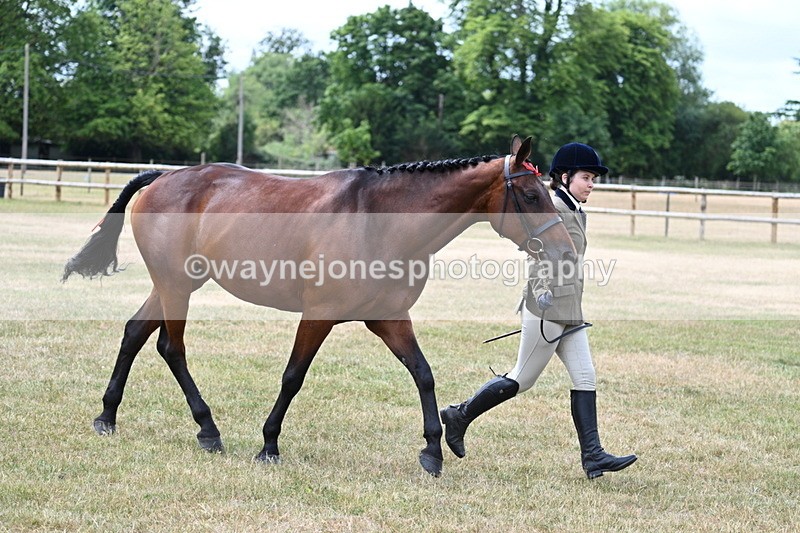 WJ7_1903 - Class 4a Prettiest Mare 14.2hh and over hand