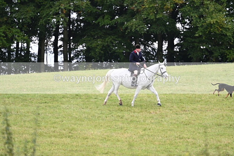 WJ7_4031 - Camera 1 Line 2