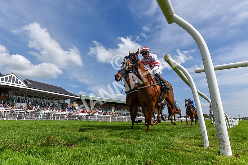 130524-Race 3-Animato-5329 - Race 3