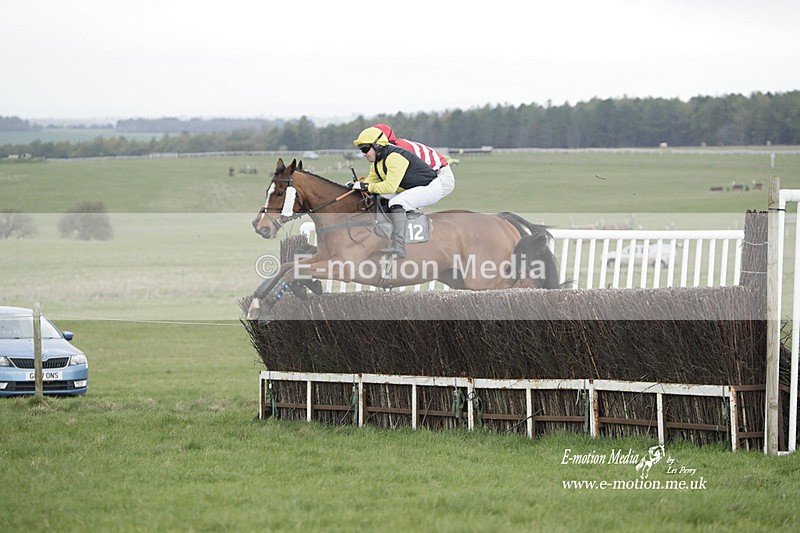 PtP 260323 0590 - New Forest Hounds Point-to-Point Larkhill 26/03/23