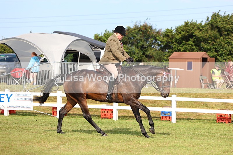 3E7A8199 - Class 2: Rising Star Large Hack/Riding Horse