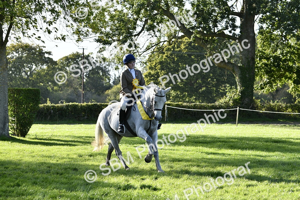 SBM_52282 - S35 - Working Hunter & Working Show Horse