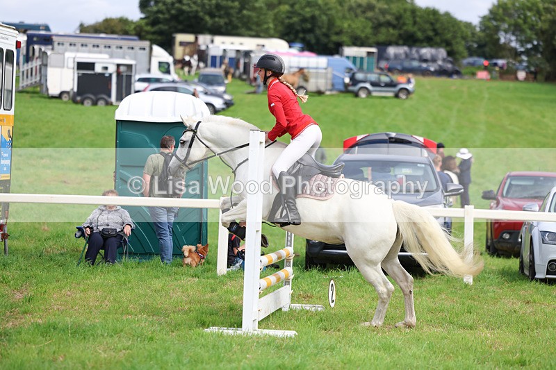 3E7A5646 - Class 2: 70cm Juniors and Seniors