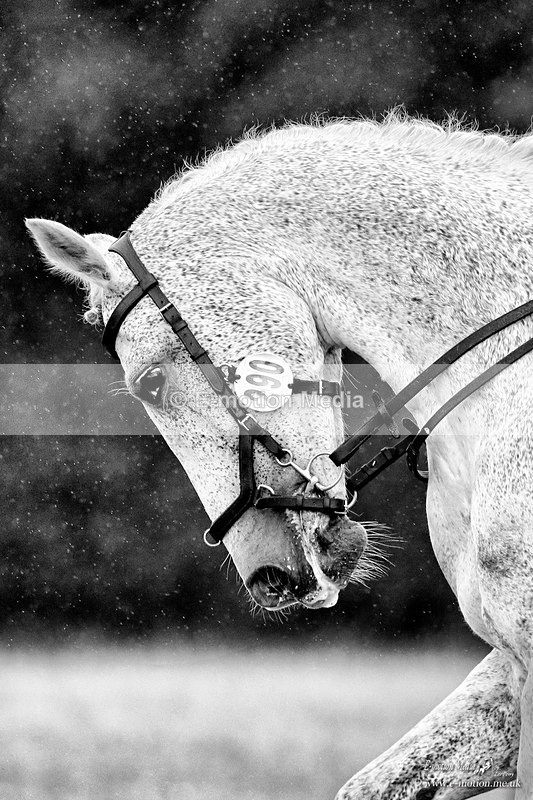 BVRC 030721 644bw - B & W photography