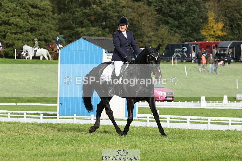 251024A-101631-07708 - D-343-Georgina.Owen