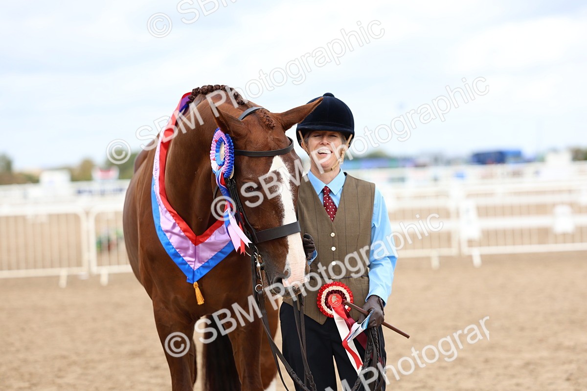 SBM_03990 - Class 25 - IH Foreign Breeds - Pure Bred