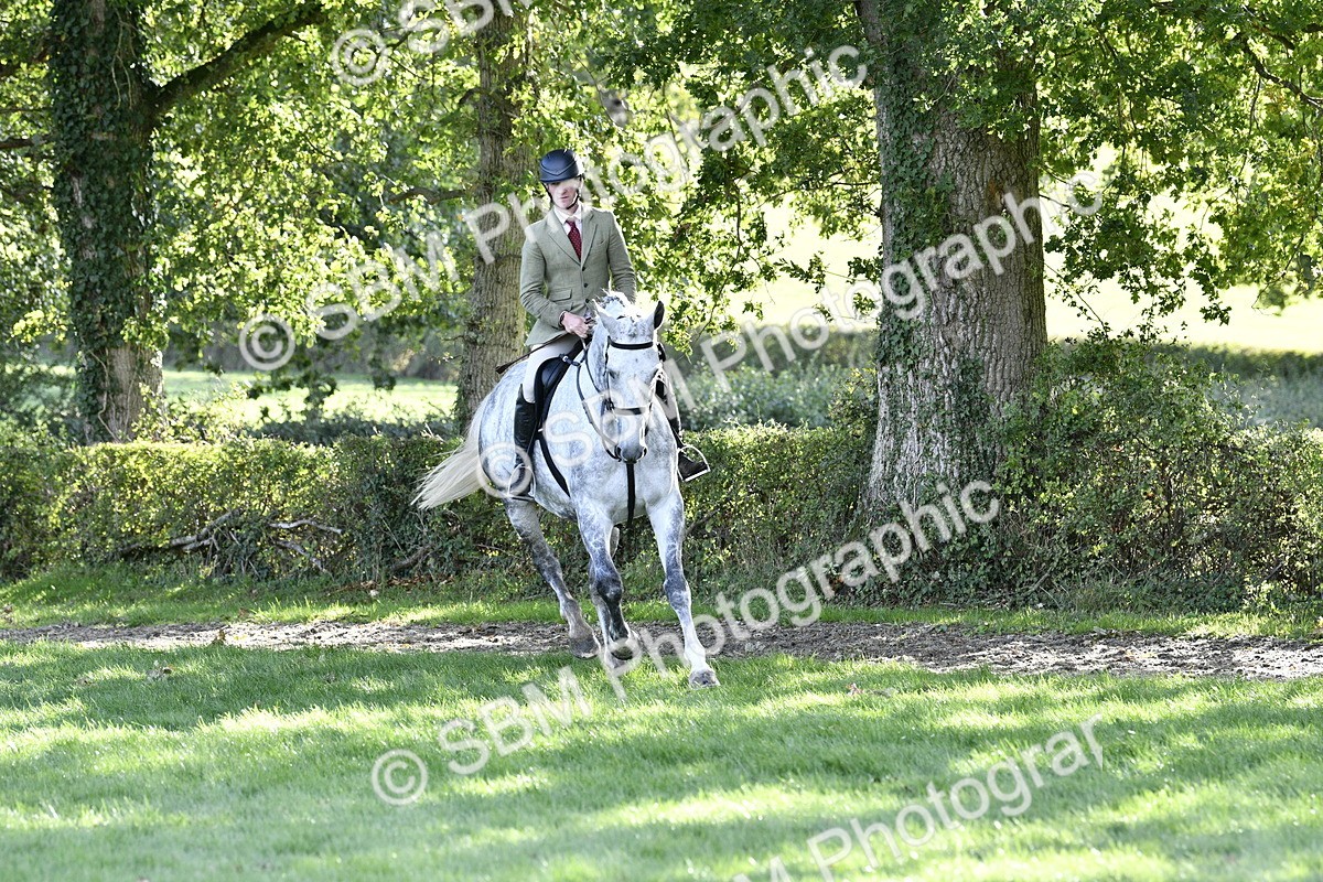 SBM_52223 - S35 - Working Hunter & Working Show Horse