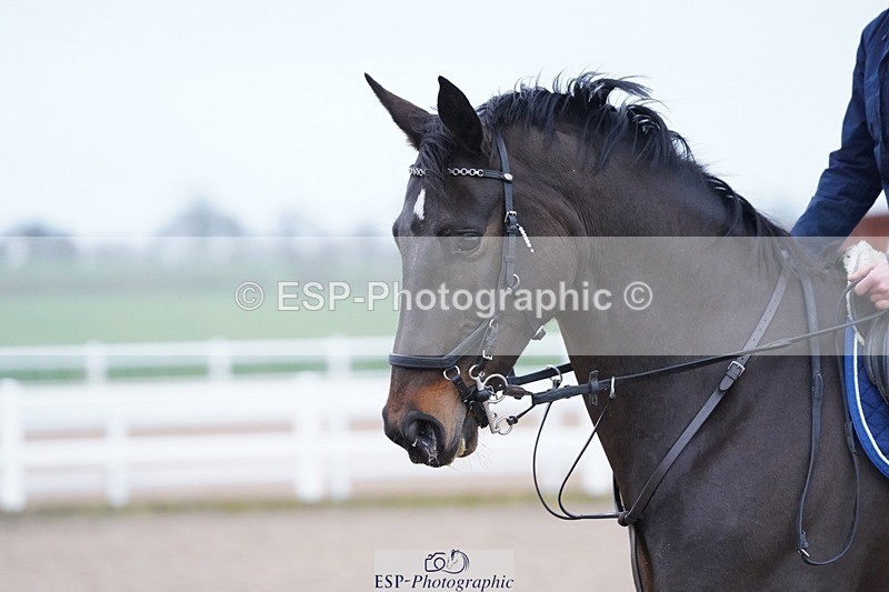 250223-100810-03222 - Cls 19 BlueChip JJ Winter Discovery Champ Q