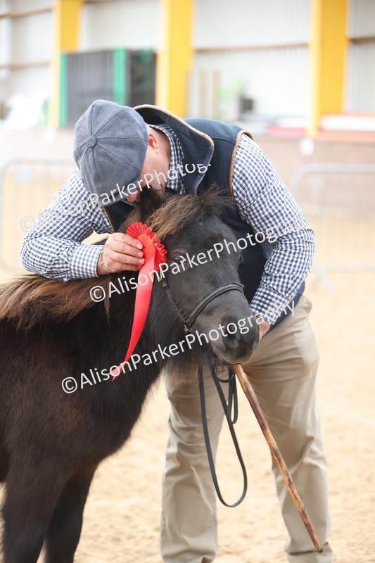 20251109-0018 - Class 2 - Yearling, Colt, filly or gelding