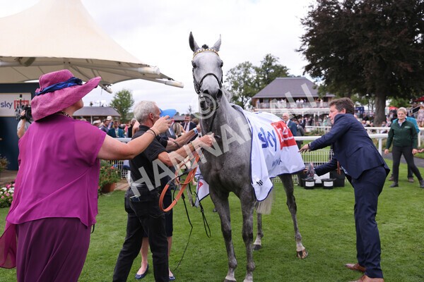 yr17082022r5-58 - Race 5 4.10pm Sky Bet Stayers Stakes