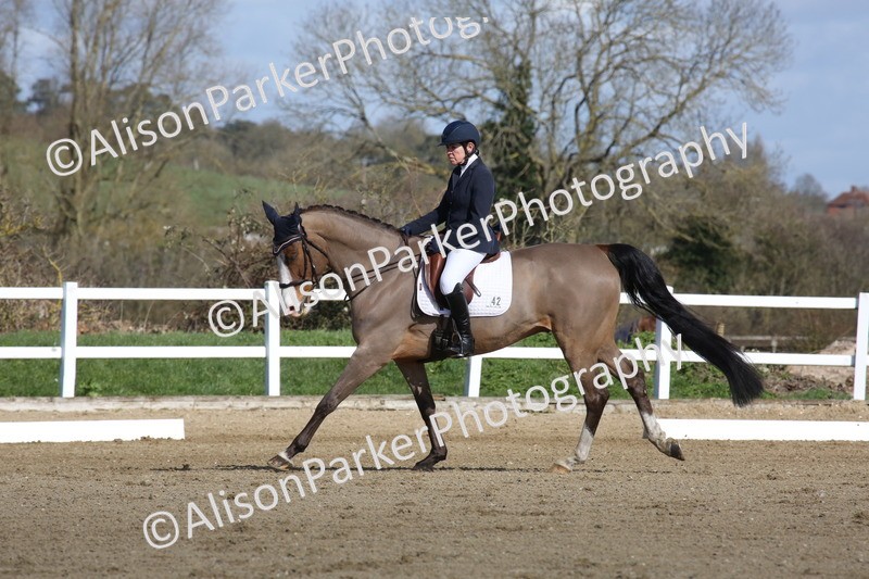 20260314-3999 - CT4 - Novice 1