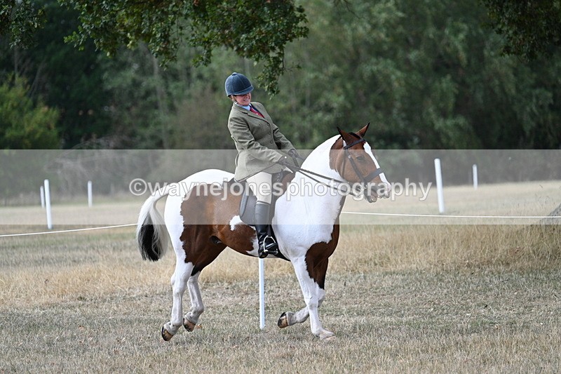 WJ7_7214 - Class 14 Ridden Coloured