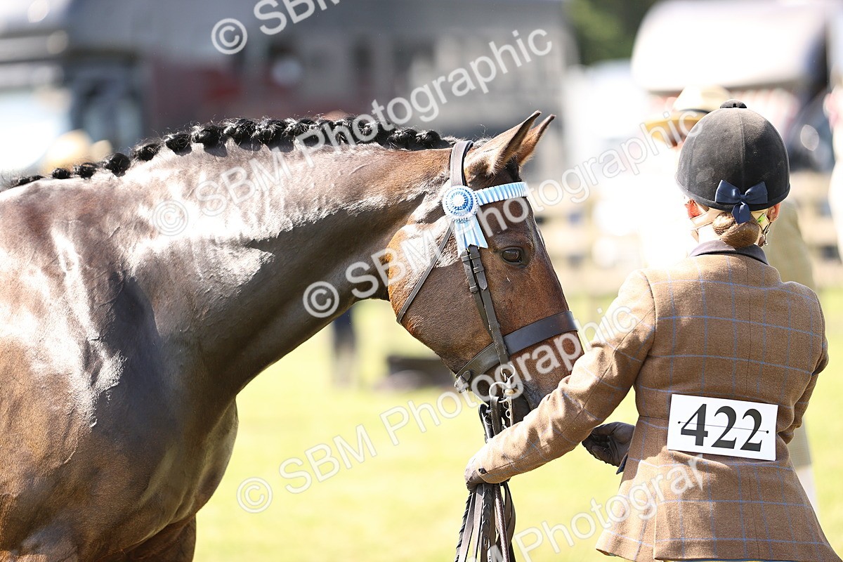 SBM_12933 - Class 75-76 LIHS BSHA Rising Star Hack Riding Horse